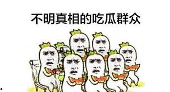 吃瓜群众娱乐小能手,揭秘娱乐圈幕后趣闻